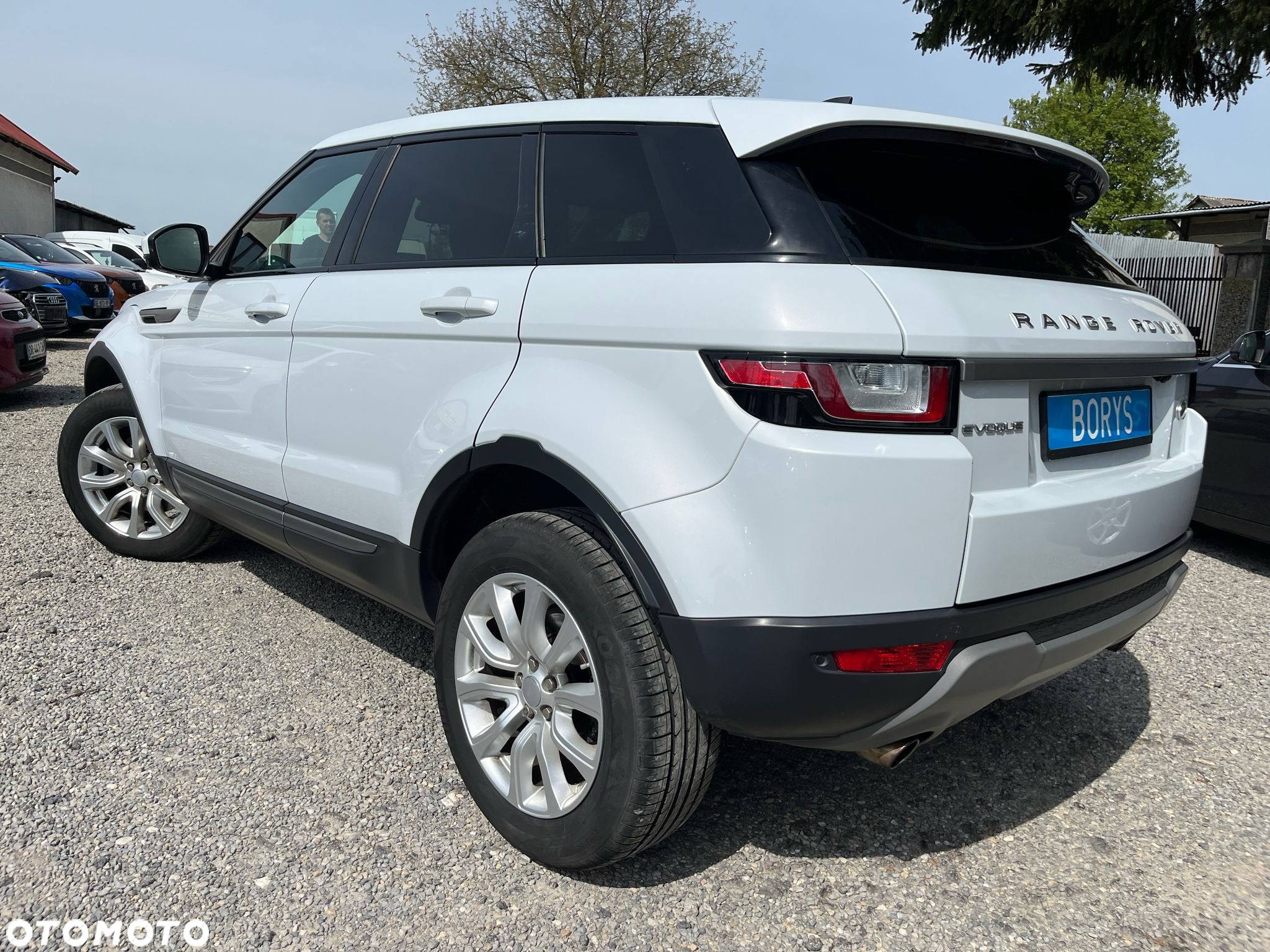 Land Rover Range Rover Evoque 2.0TD4 SE Dynamic - 7