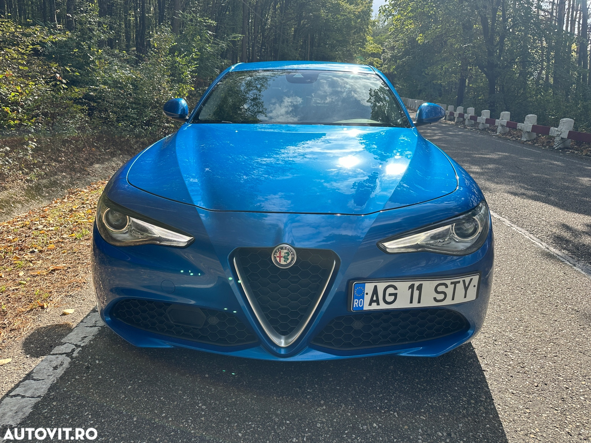 Alfa Romeo Giulia 2.2 JTDM Aut. Super - 9