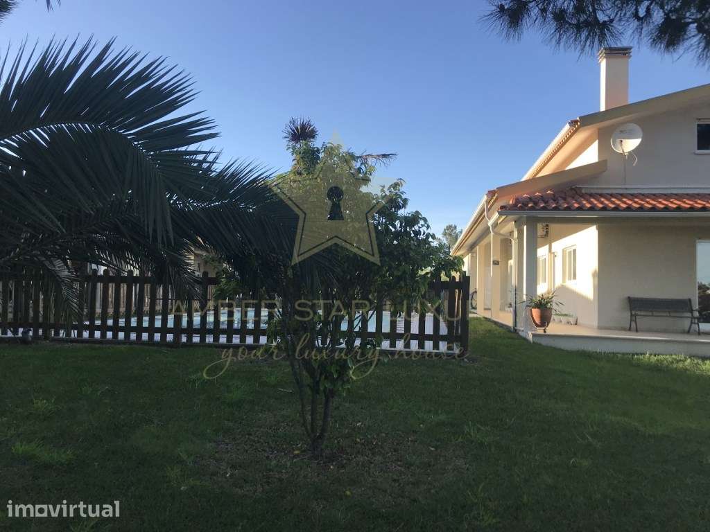 Quintinha da 'Estrada' e terreno com estufa em Soure, Coimbra - Grande imagem: 3/40