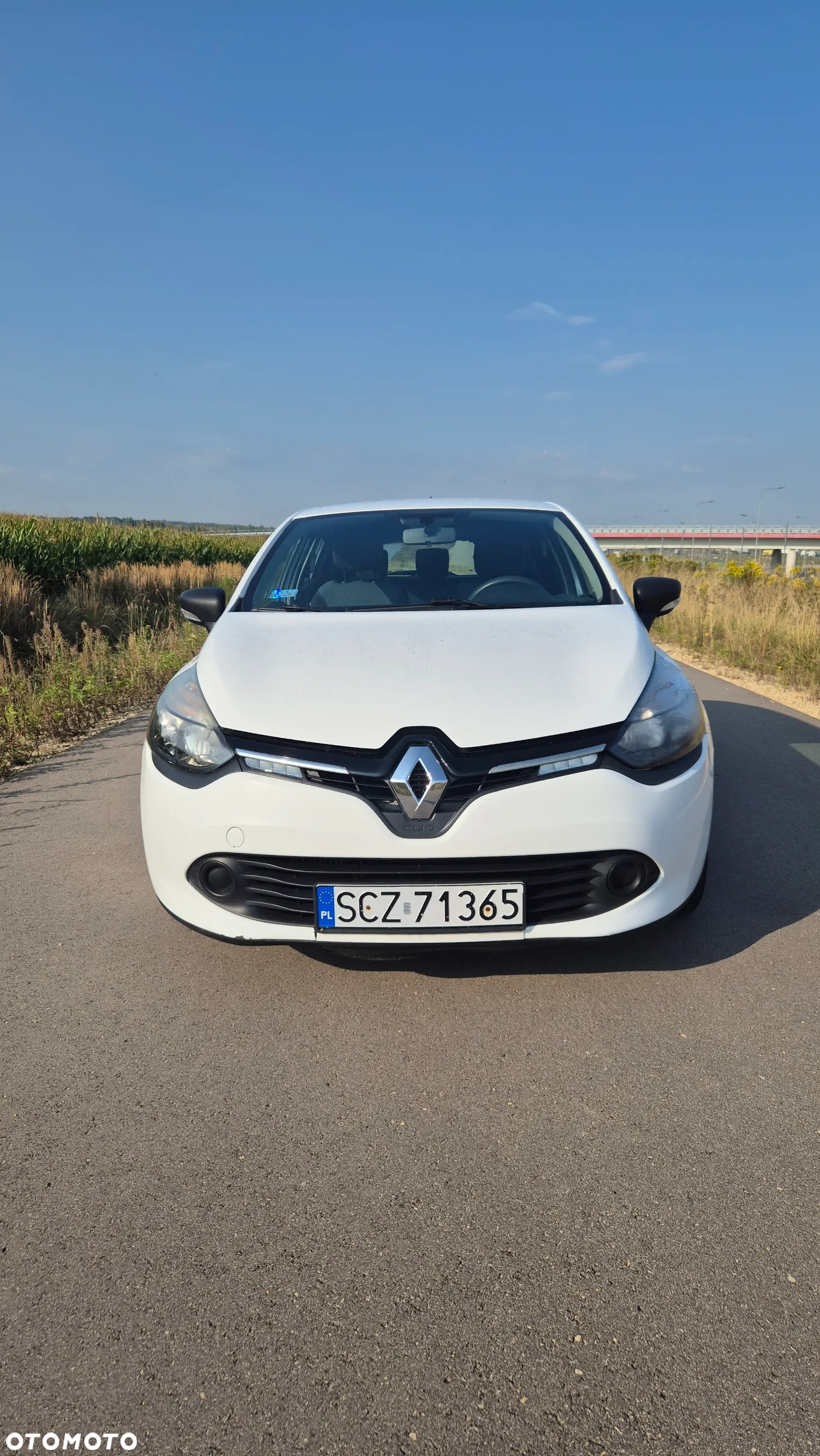 Renault Clio - 10