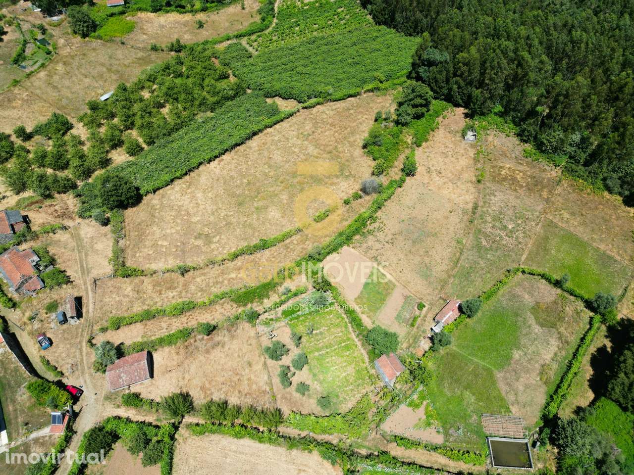 Quinta T4 Venda em Fornelos,Cinfães - Grande imagem: 5/16