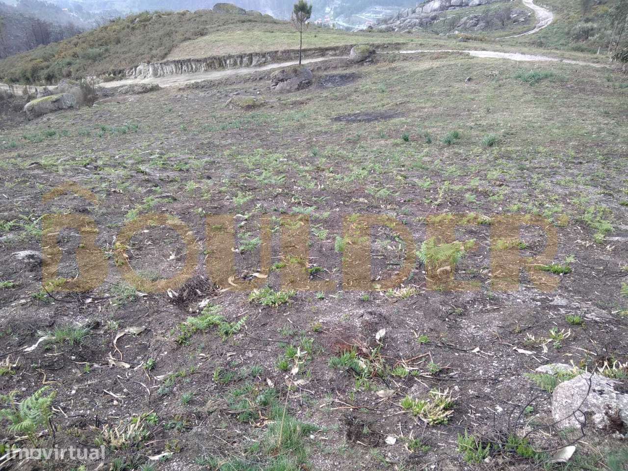 Terreno Rústico em S.Mamede, Frades - Grande imagem: 5/11
