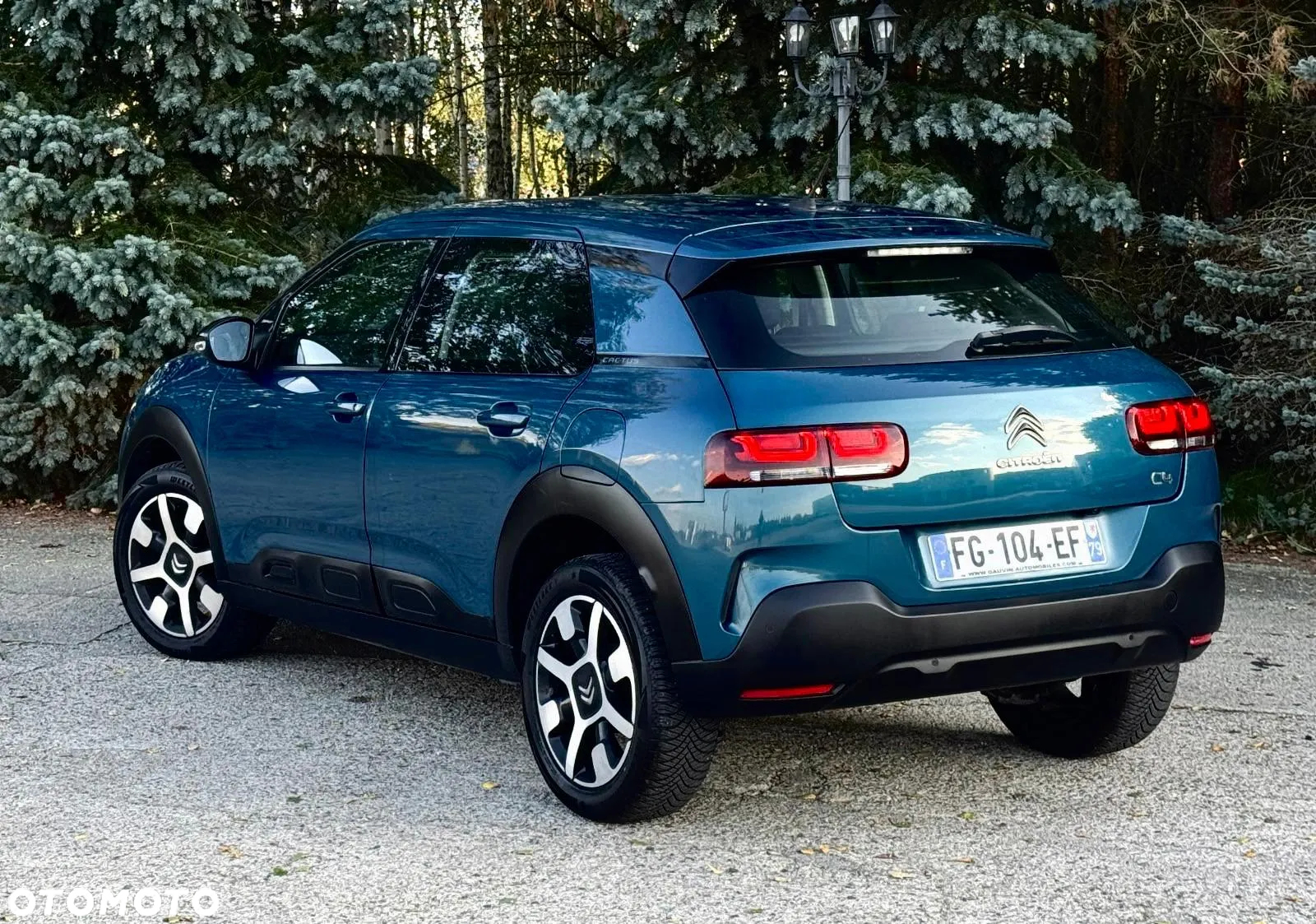 Citroën C4 Cactus - 13
