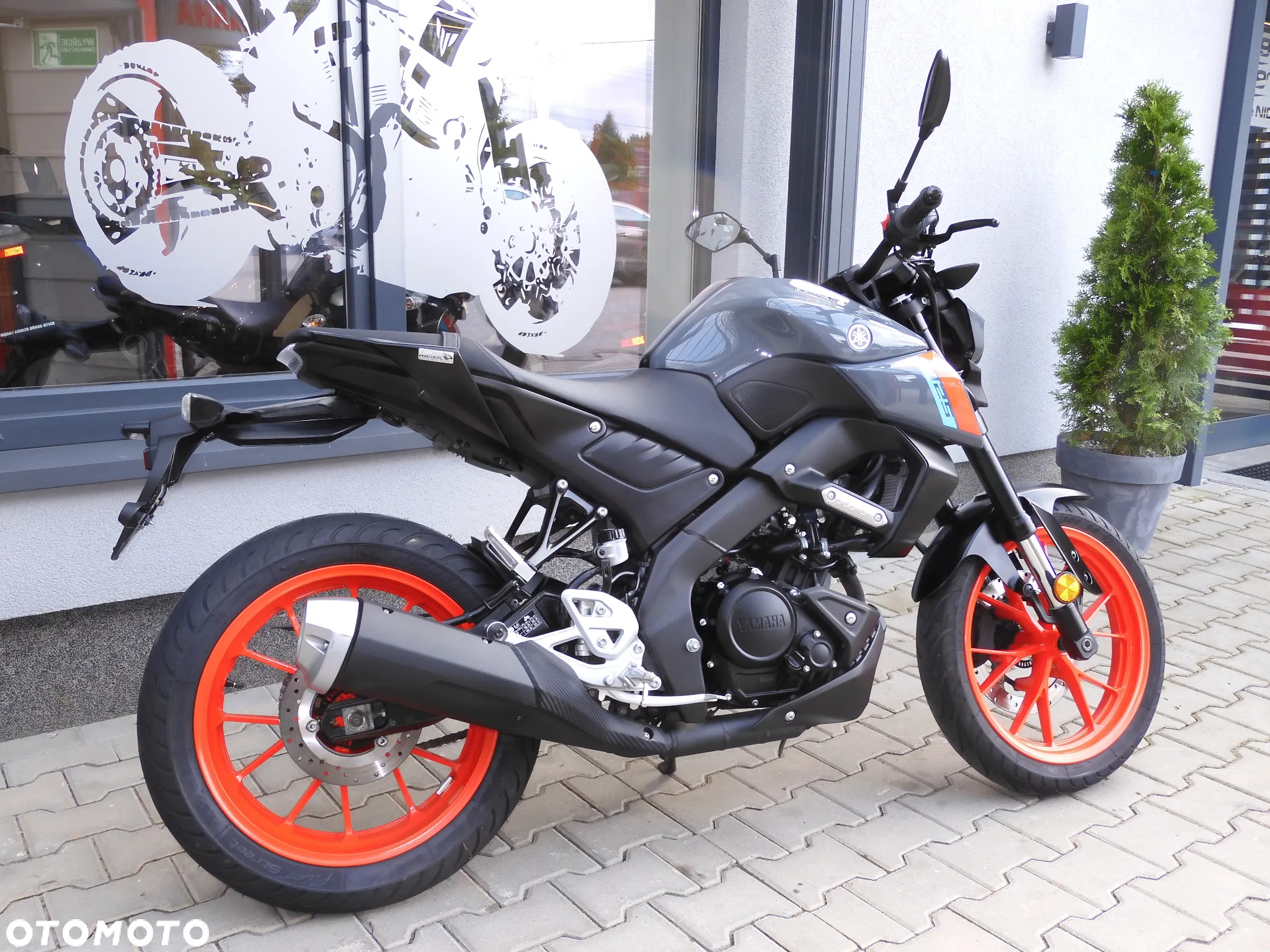 Yamaha MT - 6