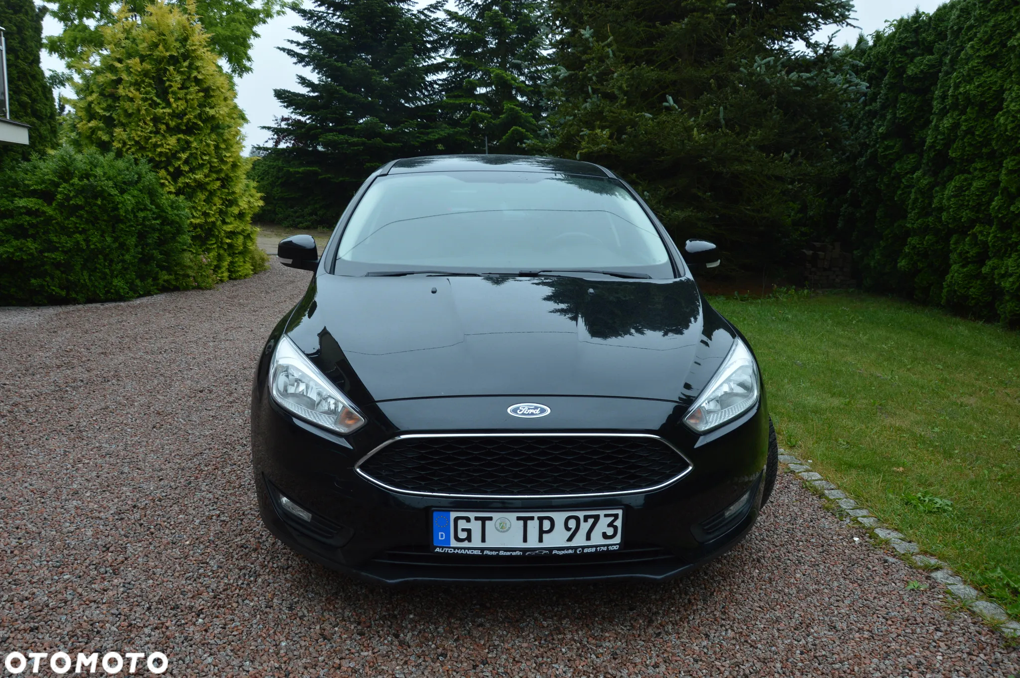 Ford Focus - 2
