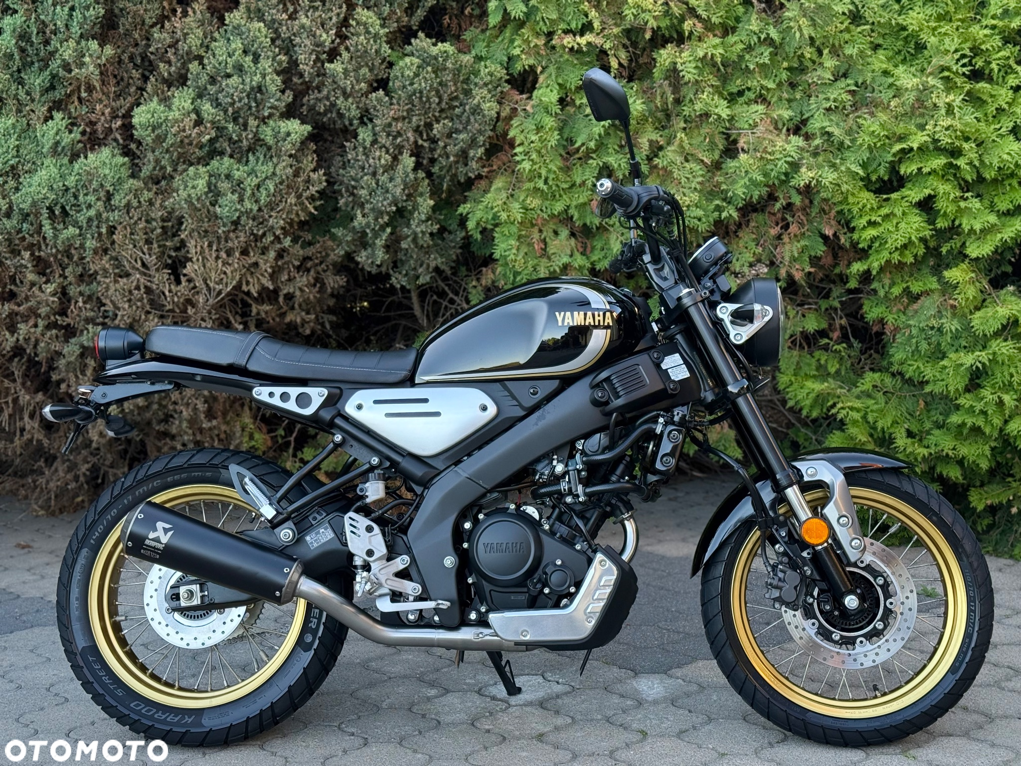 Yamaha XSR - 2