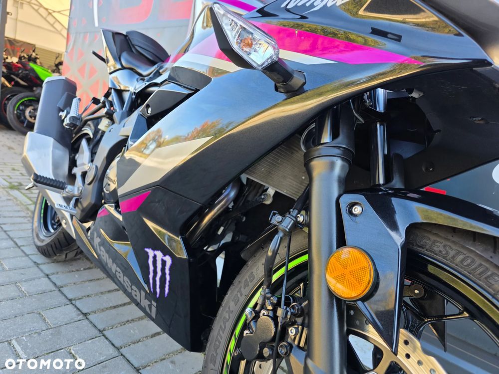 Kawasaki Ninja - 28