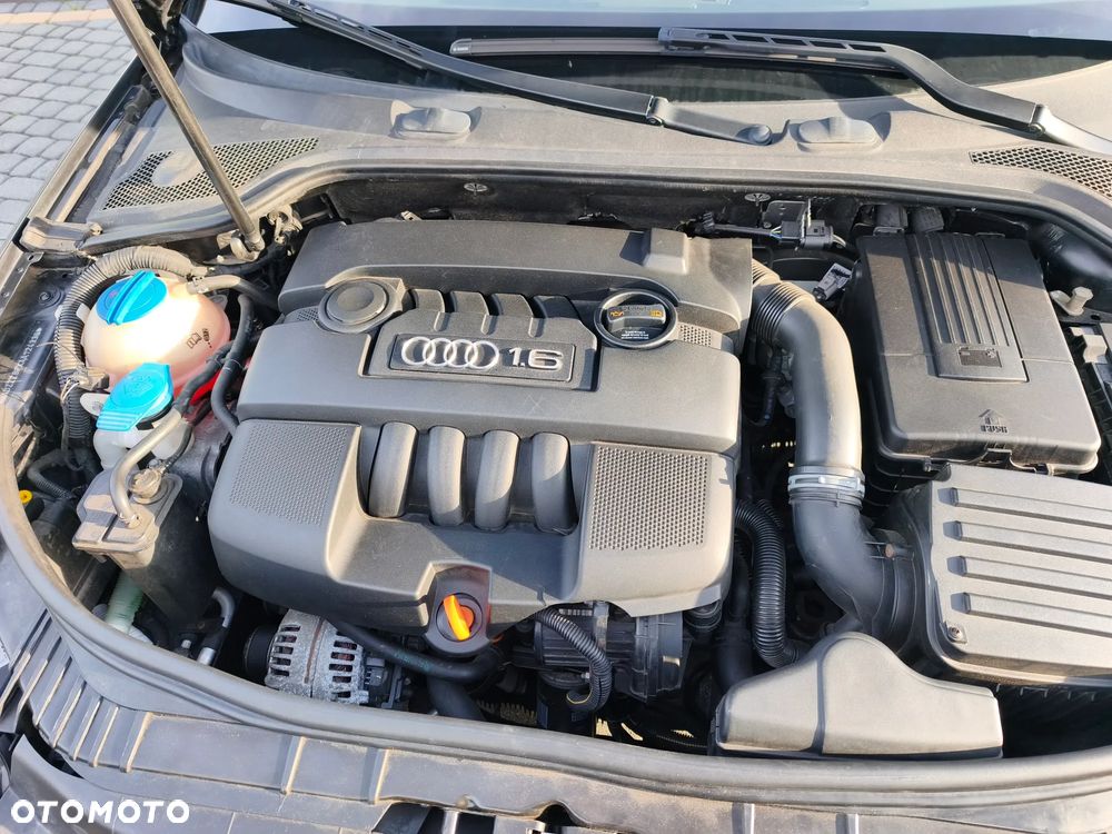 Audi A3 3-drzwiowe 1.6 Limited Edition - 15
