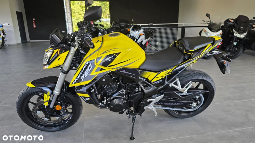 Honda Hornet
