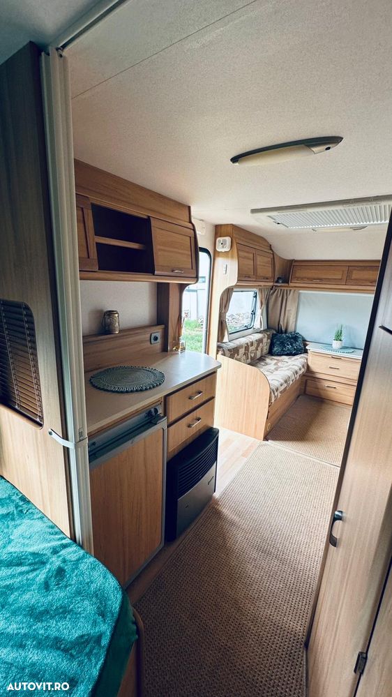 Bailey Avondale - 12