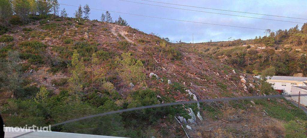 Terreno Rústico Zambujeiro - Cascais - Grande imagem: 2/10