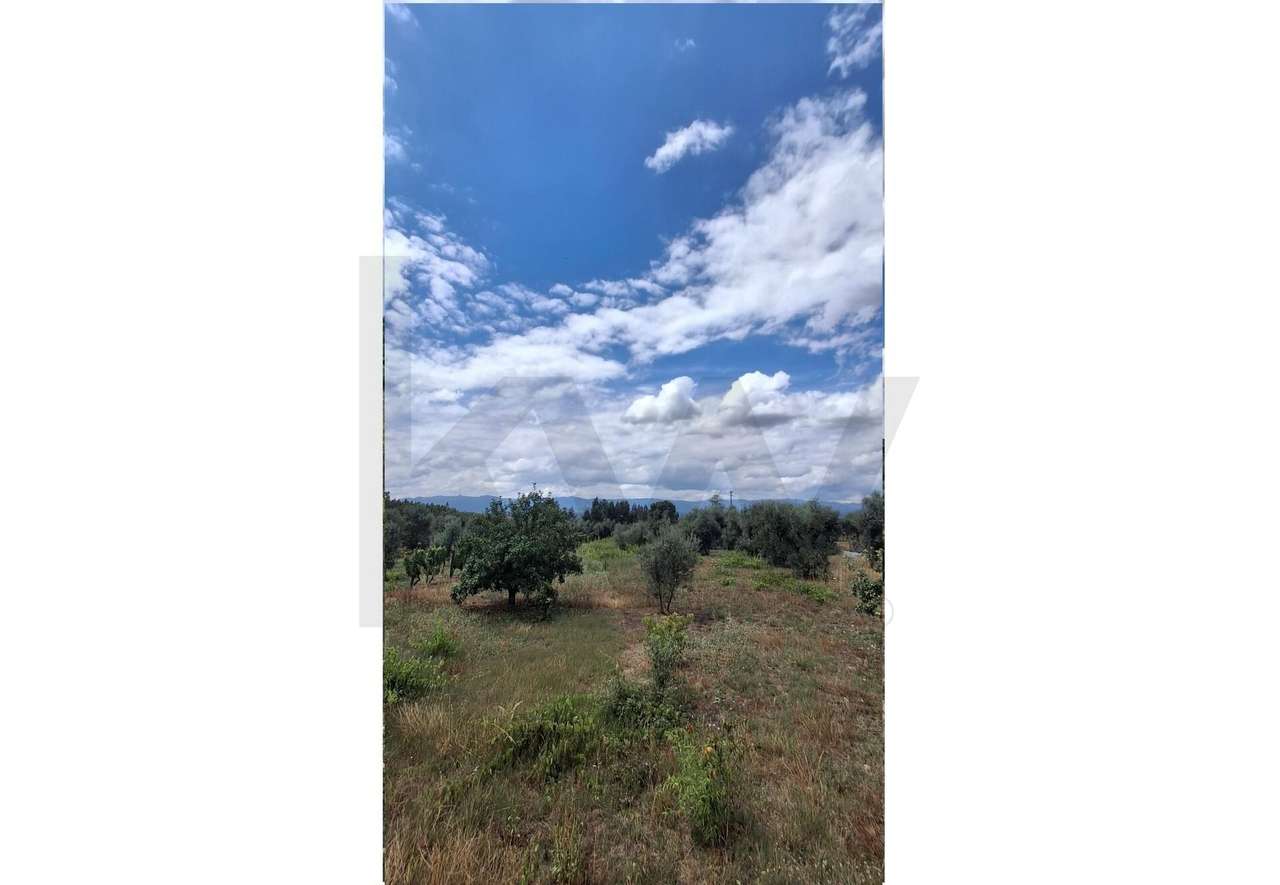 Terreno em Lageosa do Dão - Grande imagem: 4/8