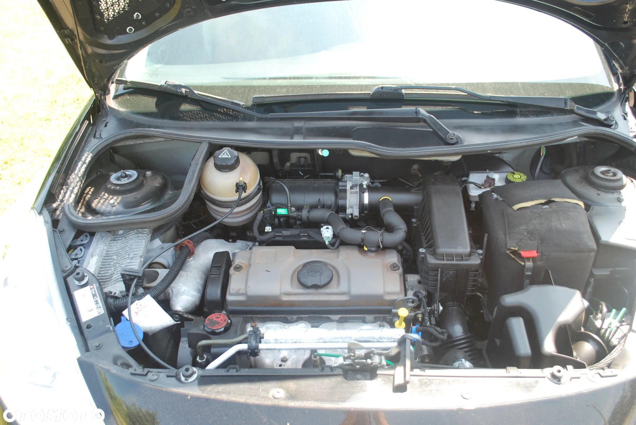 Peugeot 206 plus - 18