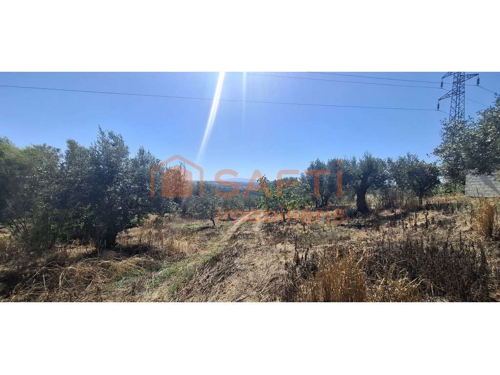 Terreno Para Construção Com Vista Panorâmica Sobre Tomar - Grande imagem: 3/6