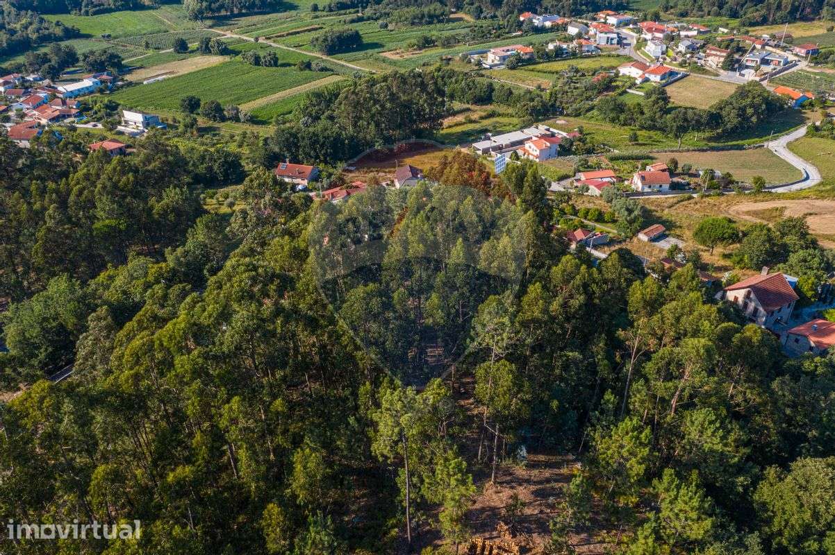 Terreno  para venda - Grande imagem: 3/12