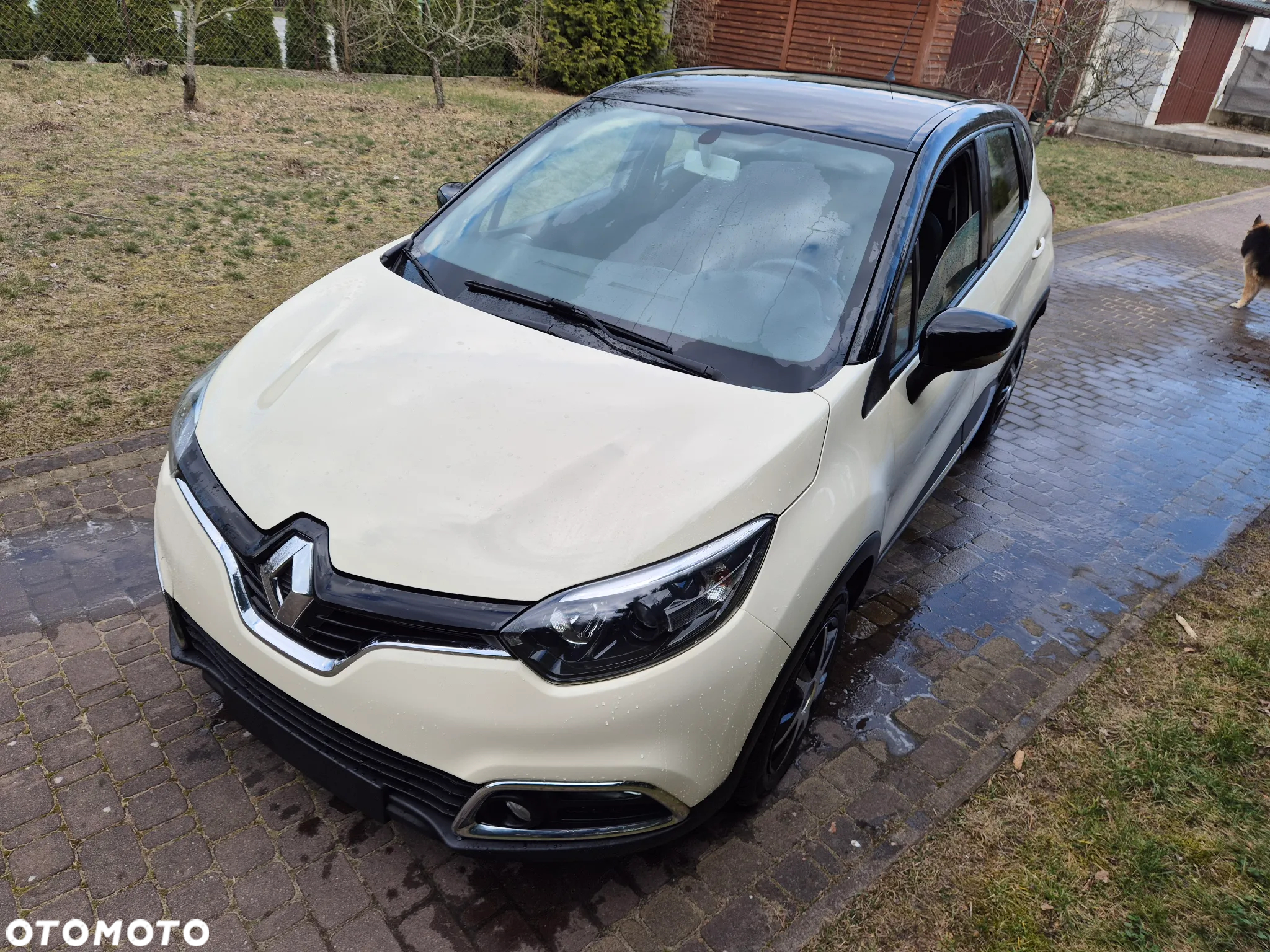 Renault Captur - 11