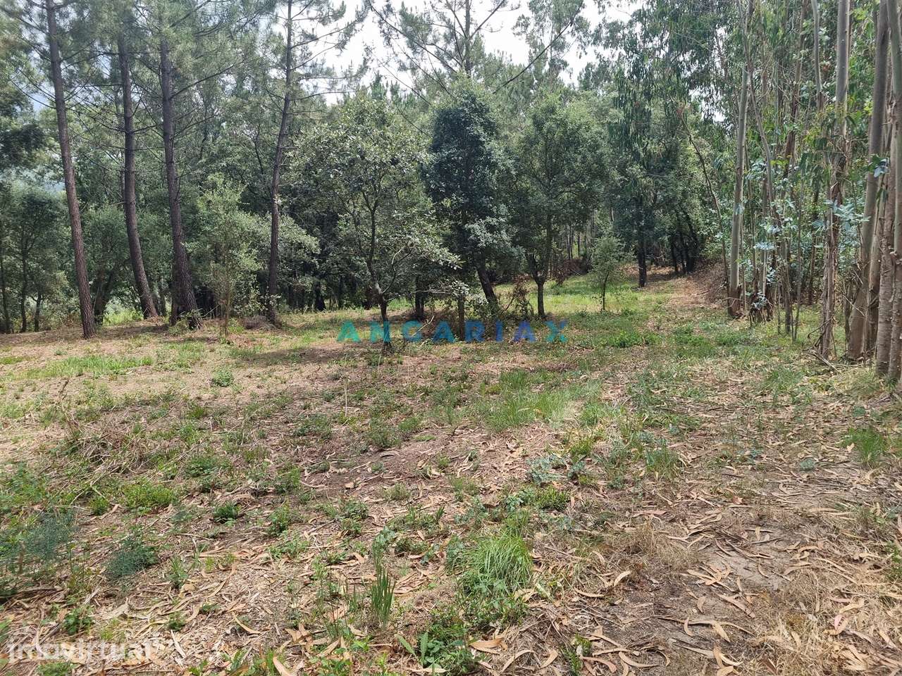 ANG1153  - Terreno para Venda em Porto de Mós - Grande imagem: 3/29