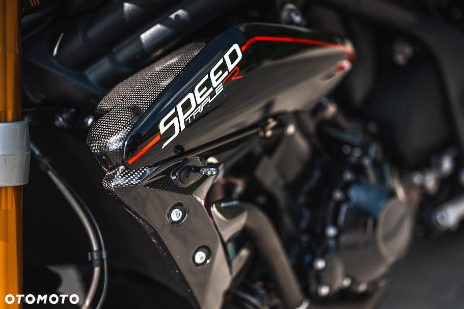 Triumph Speed Triple - 15