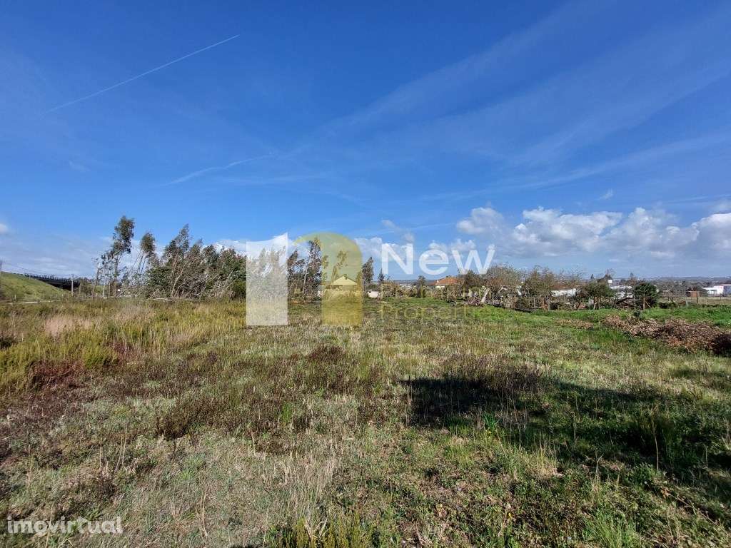 Venda Conjunta de 2 TERRENOS em Amor - Leiria. - Grande imagem: 5/5