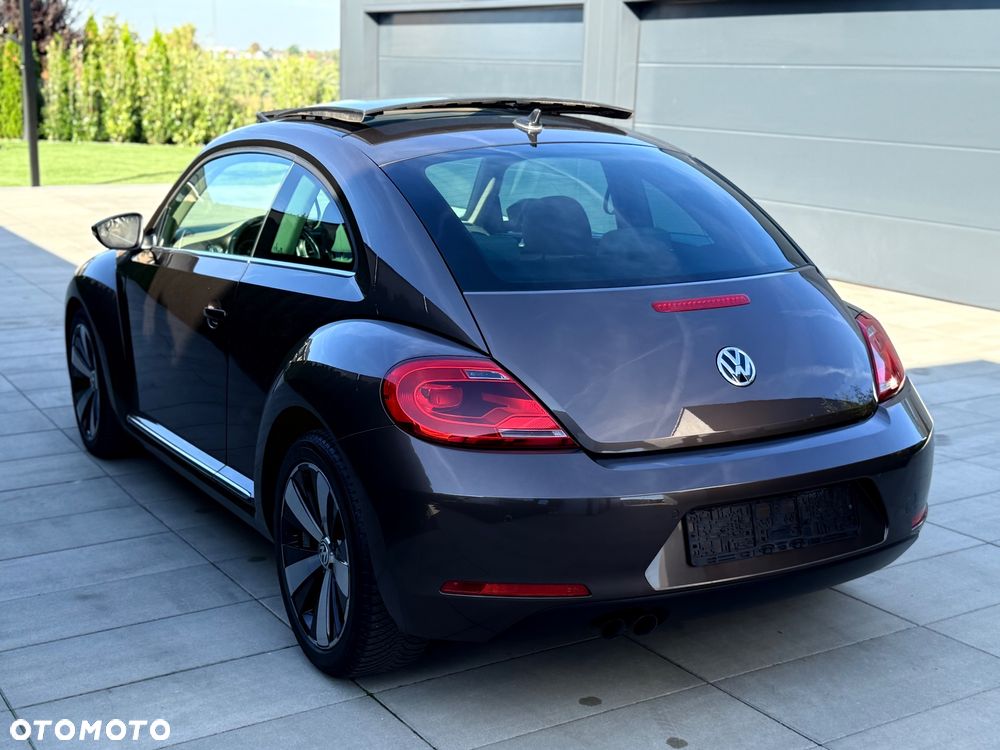 Volkswagen Beetle - 13