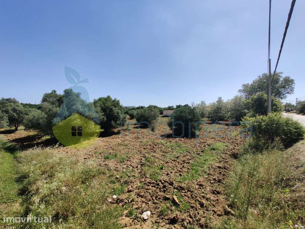 LOTE DE TERRENO URBANO - PROJETO LIVRE PARA MORADIAS ou PREDIO OU C... - Grande imagem: 5/13