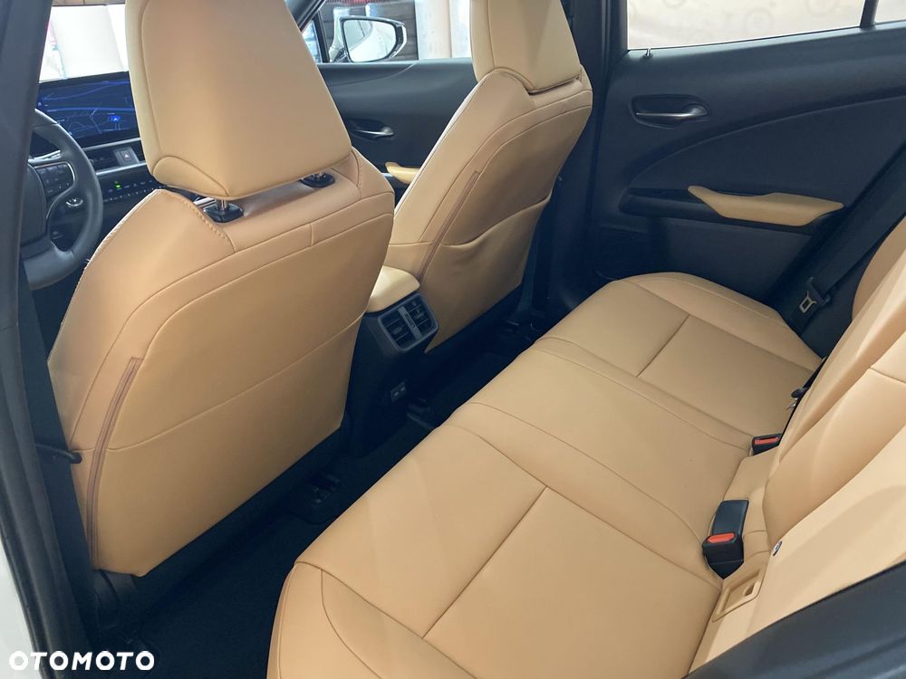 Lexus UX 250h GPF F Sport Design 2WD - 12