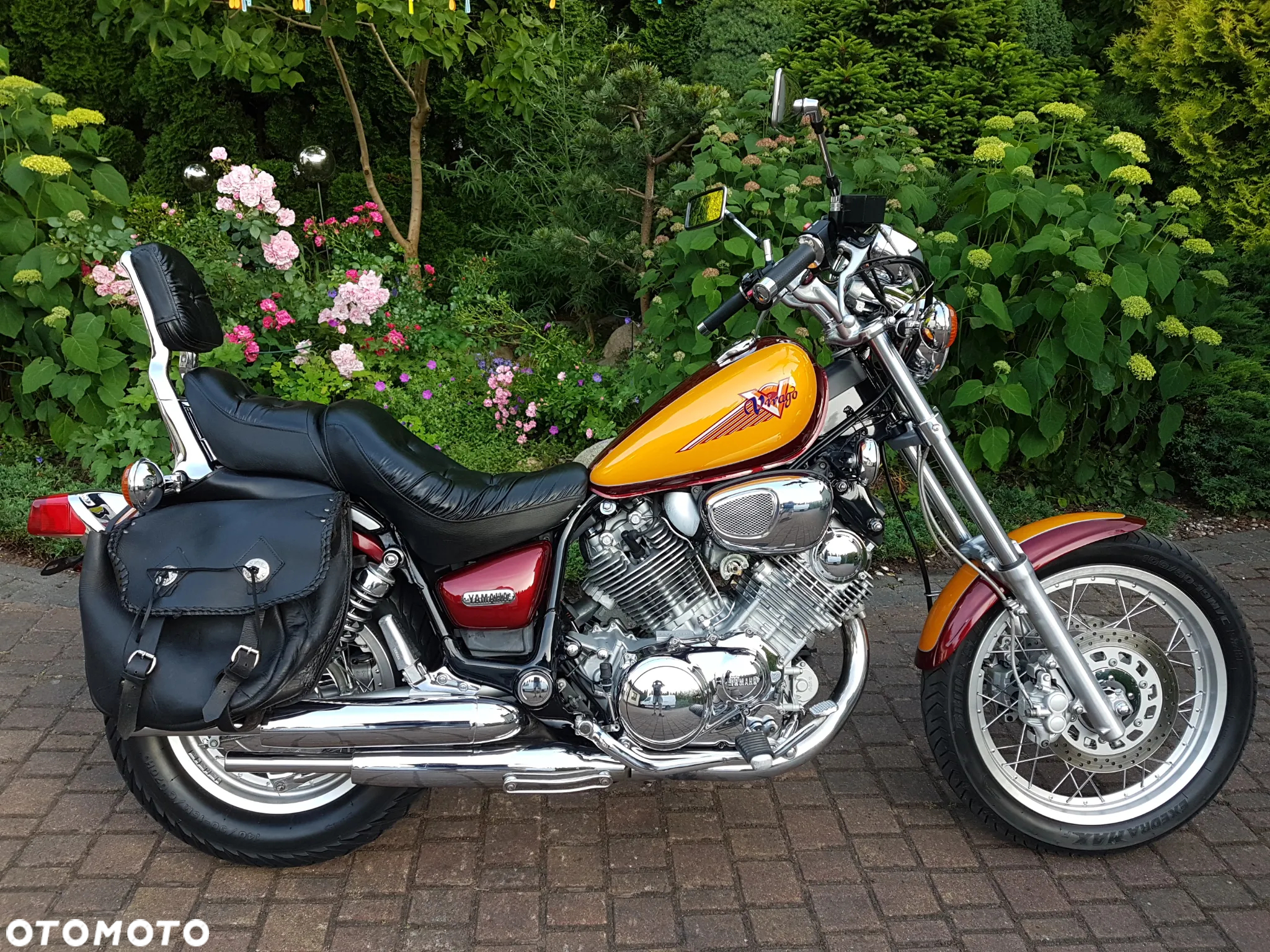 Yamaha Virago - 4