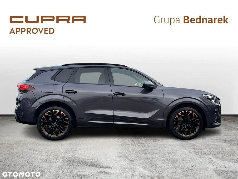 Cupra Terramar - 6