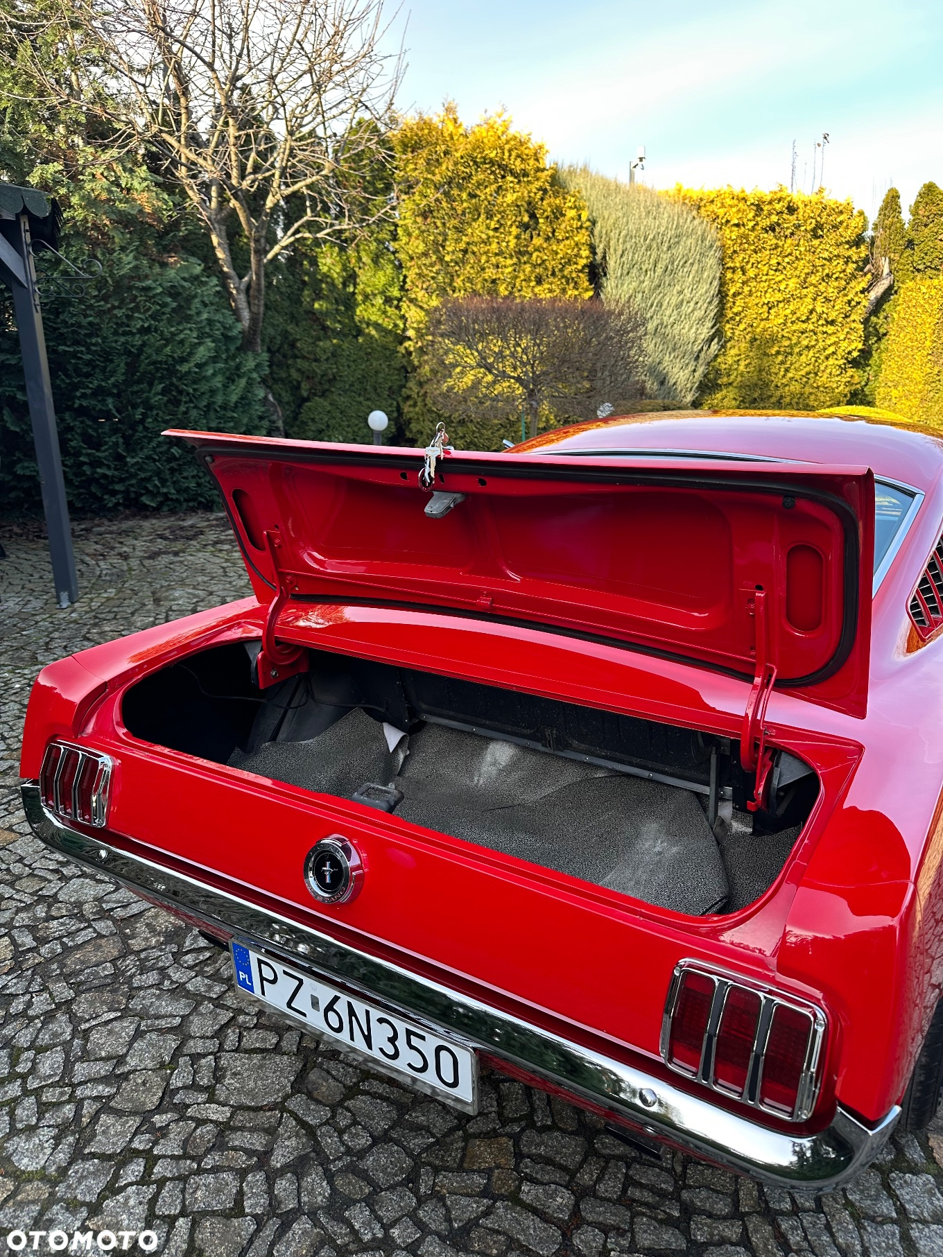 Ford Mustang - 21