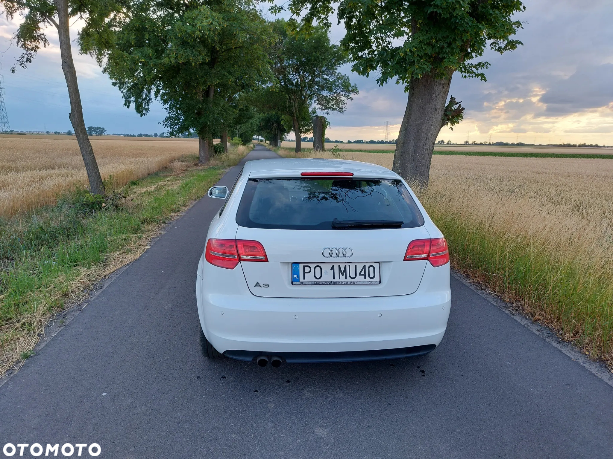 Audi A3 - 5