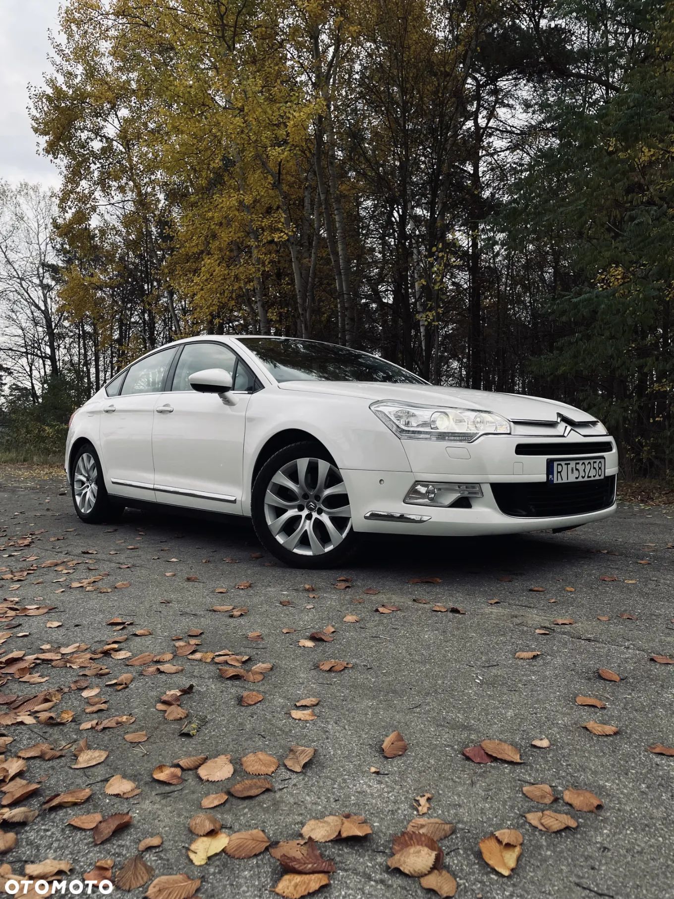 Citroën C5 3.0 HDi V6 Exclusive - 1