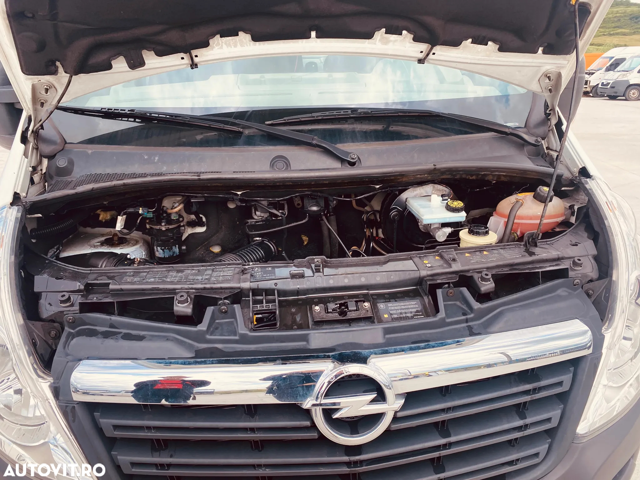Dezmembrari , Vand piese Dube Renault Master , Opel Movano - 2
