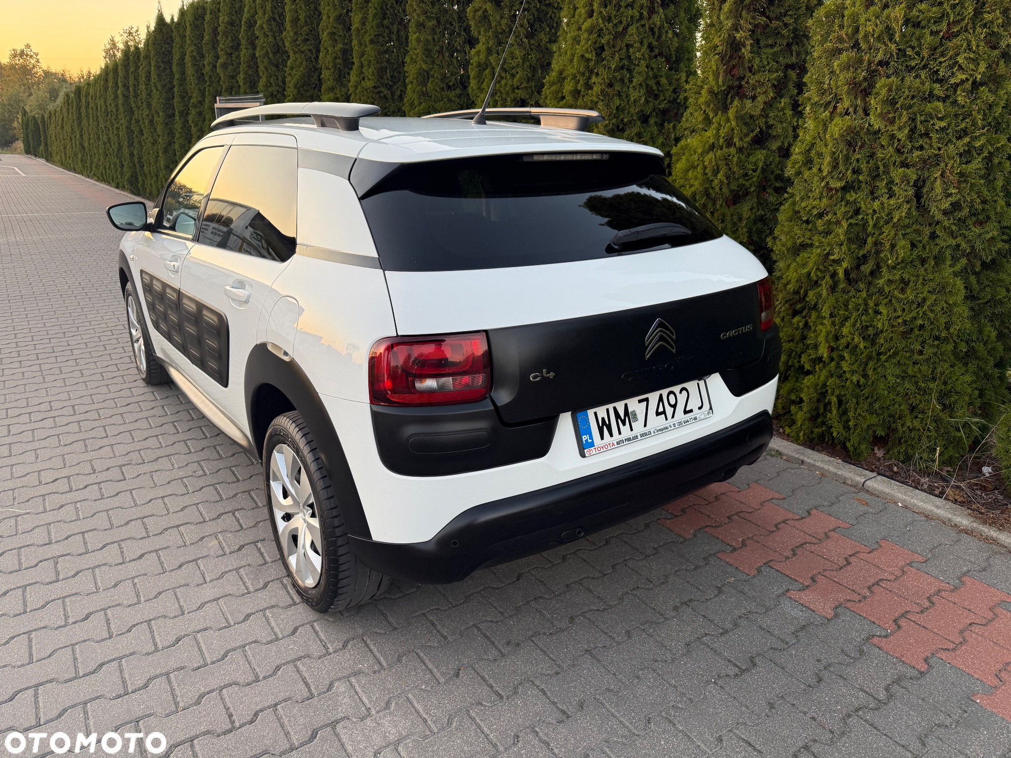 Citroën C4 Cactus 1.2 PureTech MoreLife - 6