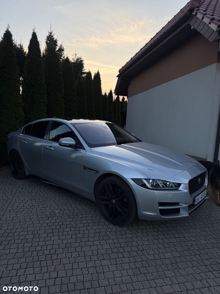 Jaguar XE - 3