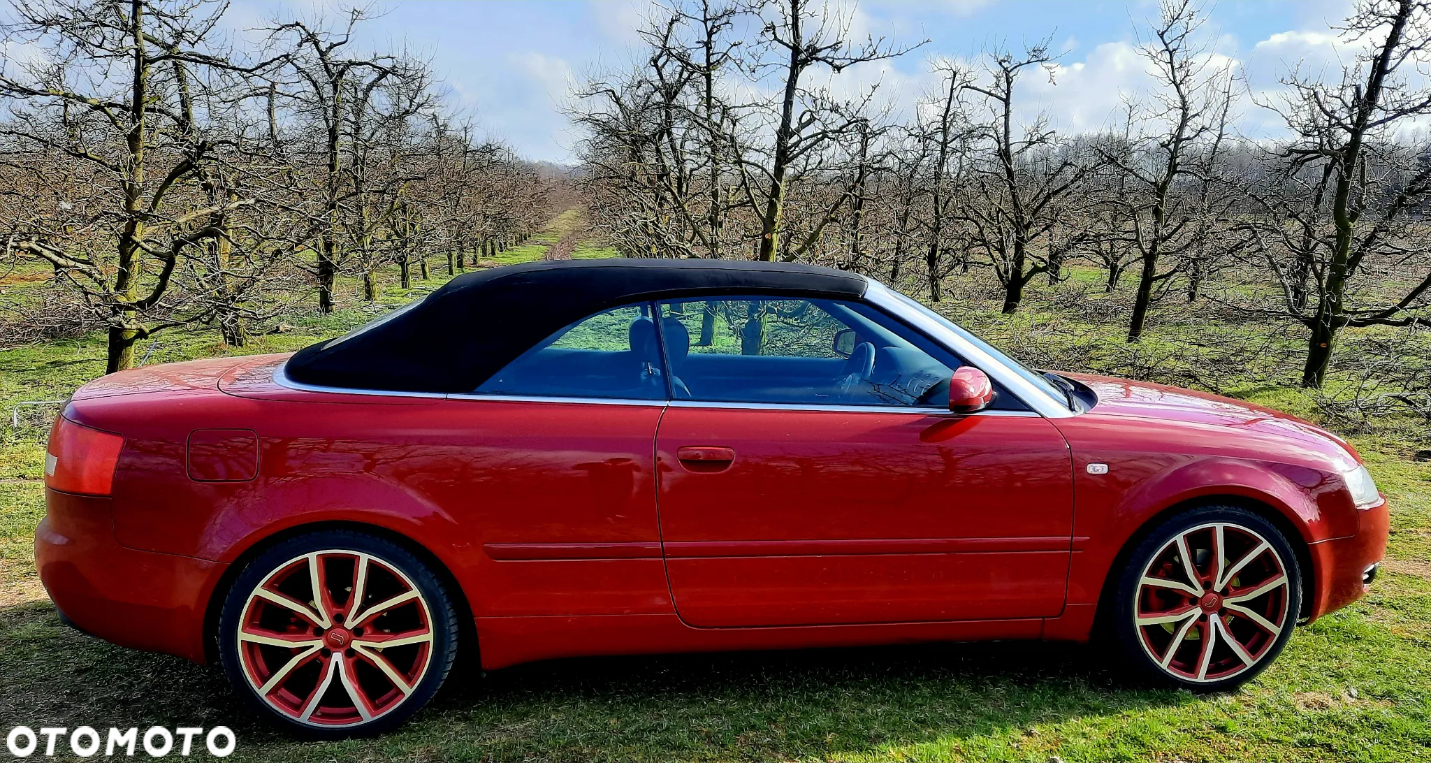 Audi A4 Cabriolet 1.8 T - 32