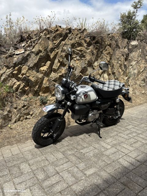 Honda Monkey 2025 - 3