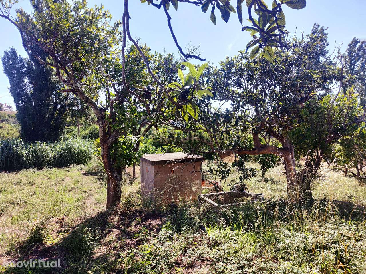 Moradia T2 Torres Novas - Chancelaria - Grande imagem: 4/40