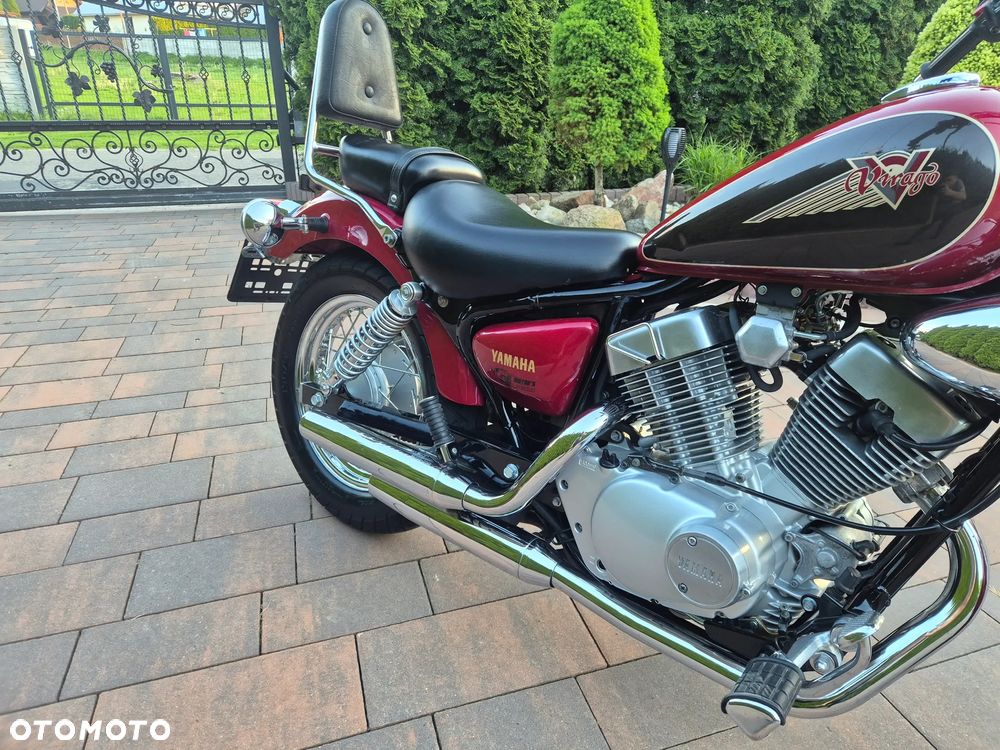 Yamaha Virago - 8