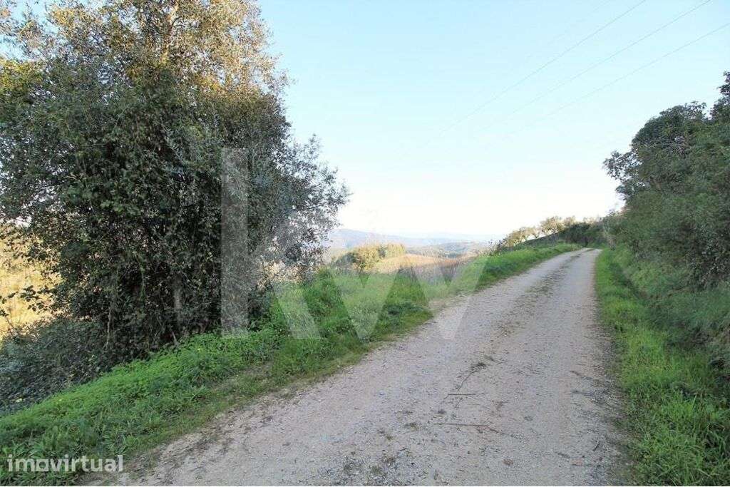 Terreno Rústico | 4850m2 | Marco dos Pereiros | Coimbra - Grande imagem: 4/12