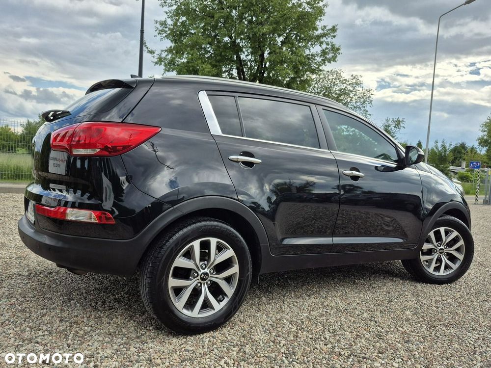 Kia Sportage - 23