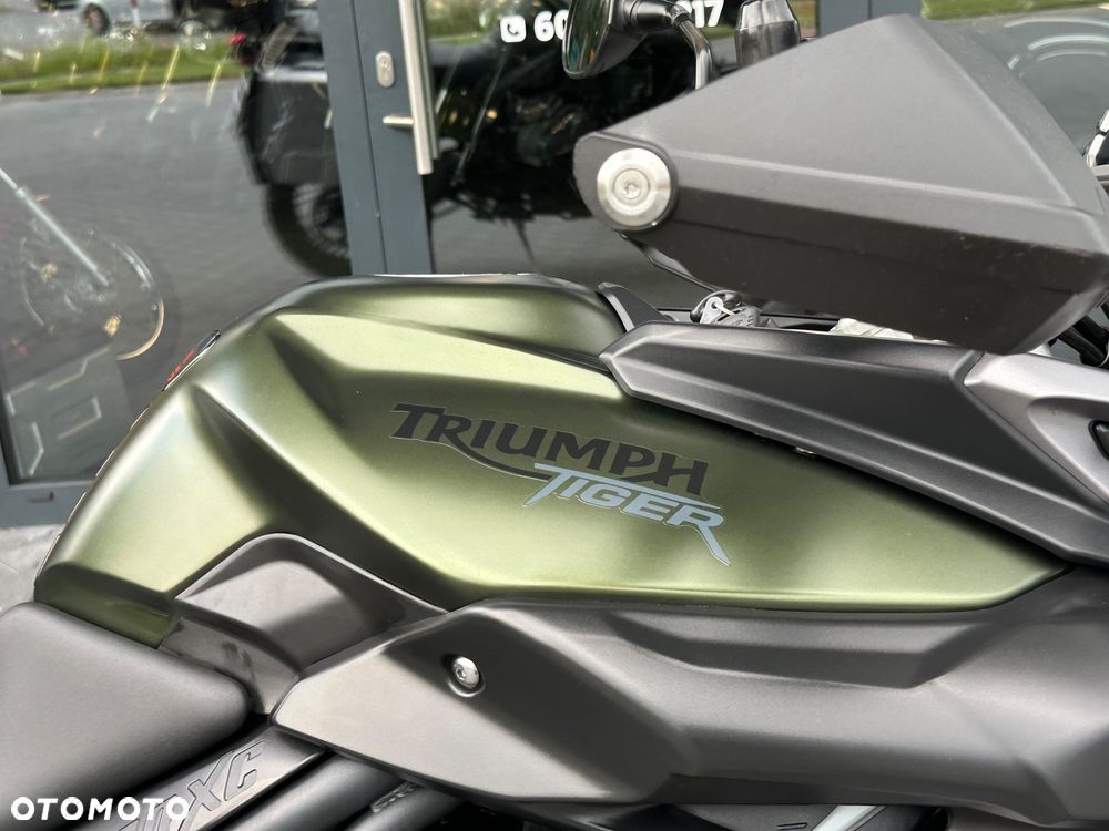 Triumph Tiger - 19
