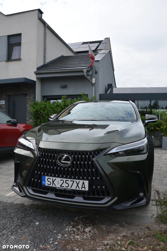 Lexus NX - 26