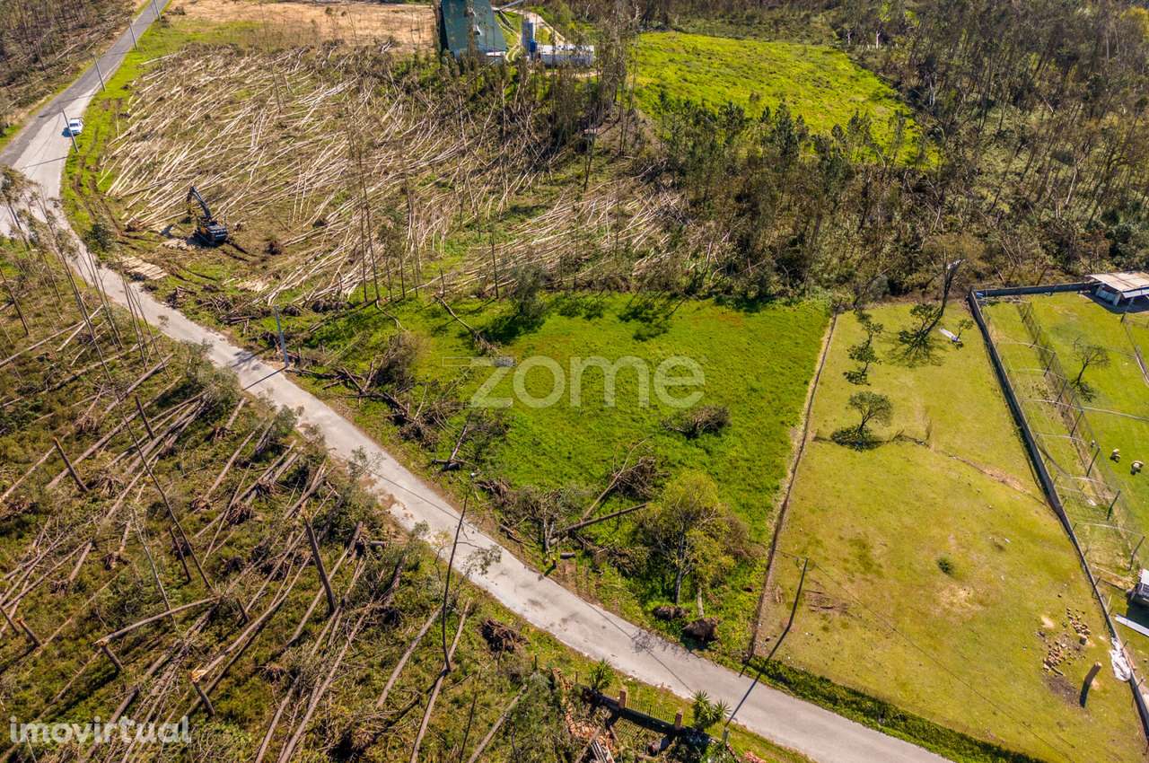 Terreno rústico – Souto da Carpalhosa - Grande imagem: 2/20