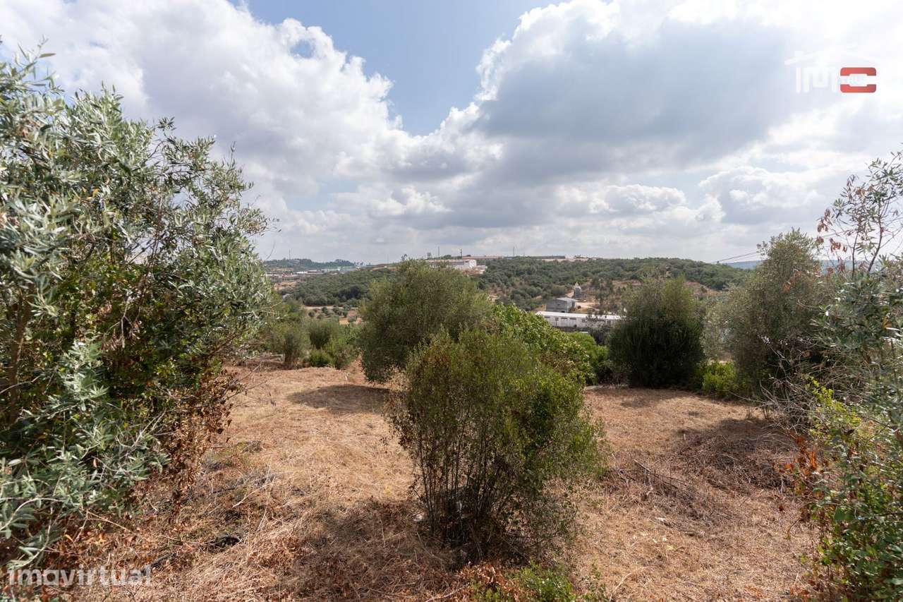 TERRENO COM 1200 m² NO CANEIRO (OURÉM) - Grande imagem: 3/13