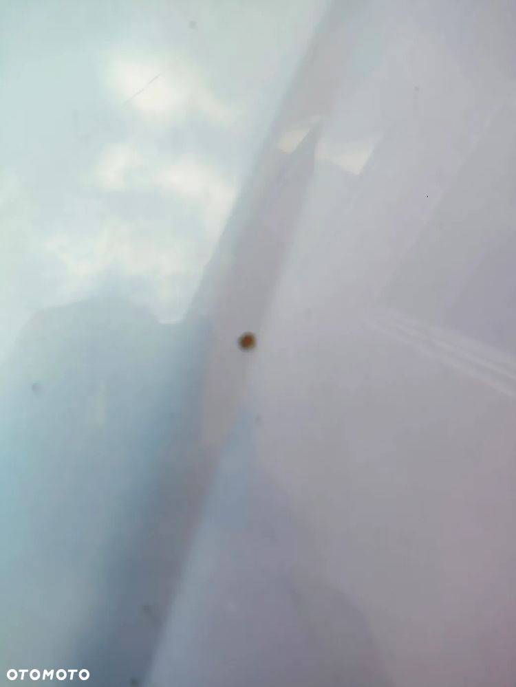 Fiat Punto 1.2 8V Active Clima - 7