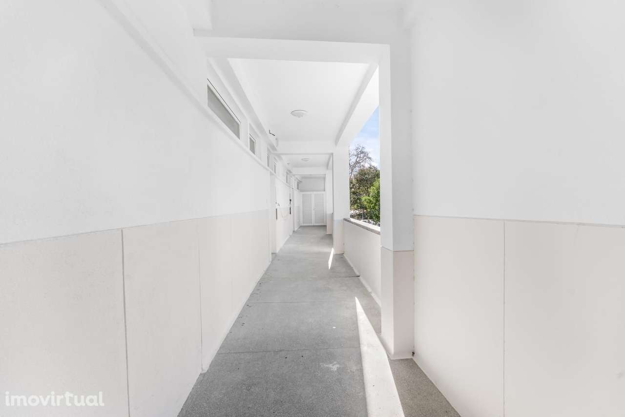 Prédio de Serviços com Projecto Completo aprovado, Centro... - Grande imagem: 3/55