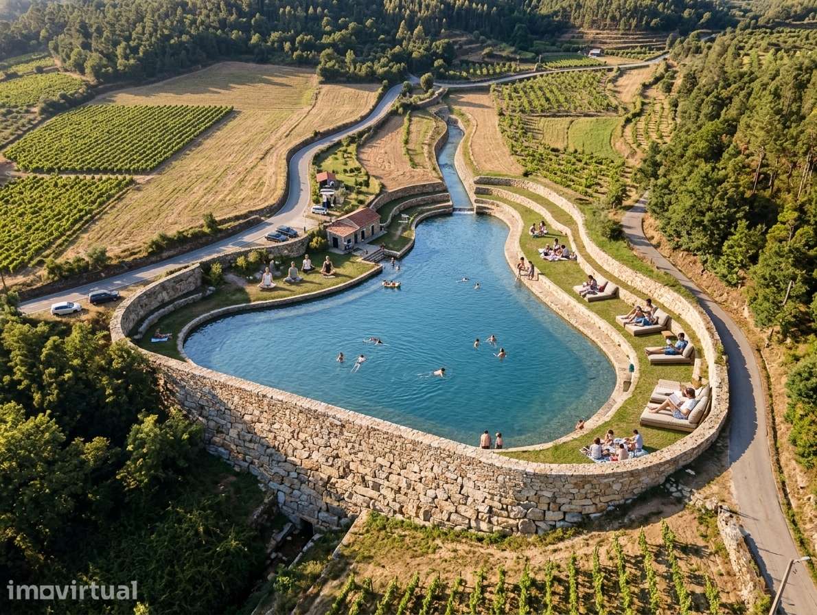 Quinta no Douro 20 000 com arrumo de apoio em Tarouca - Grande imagem: 3/19
