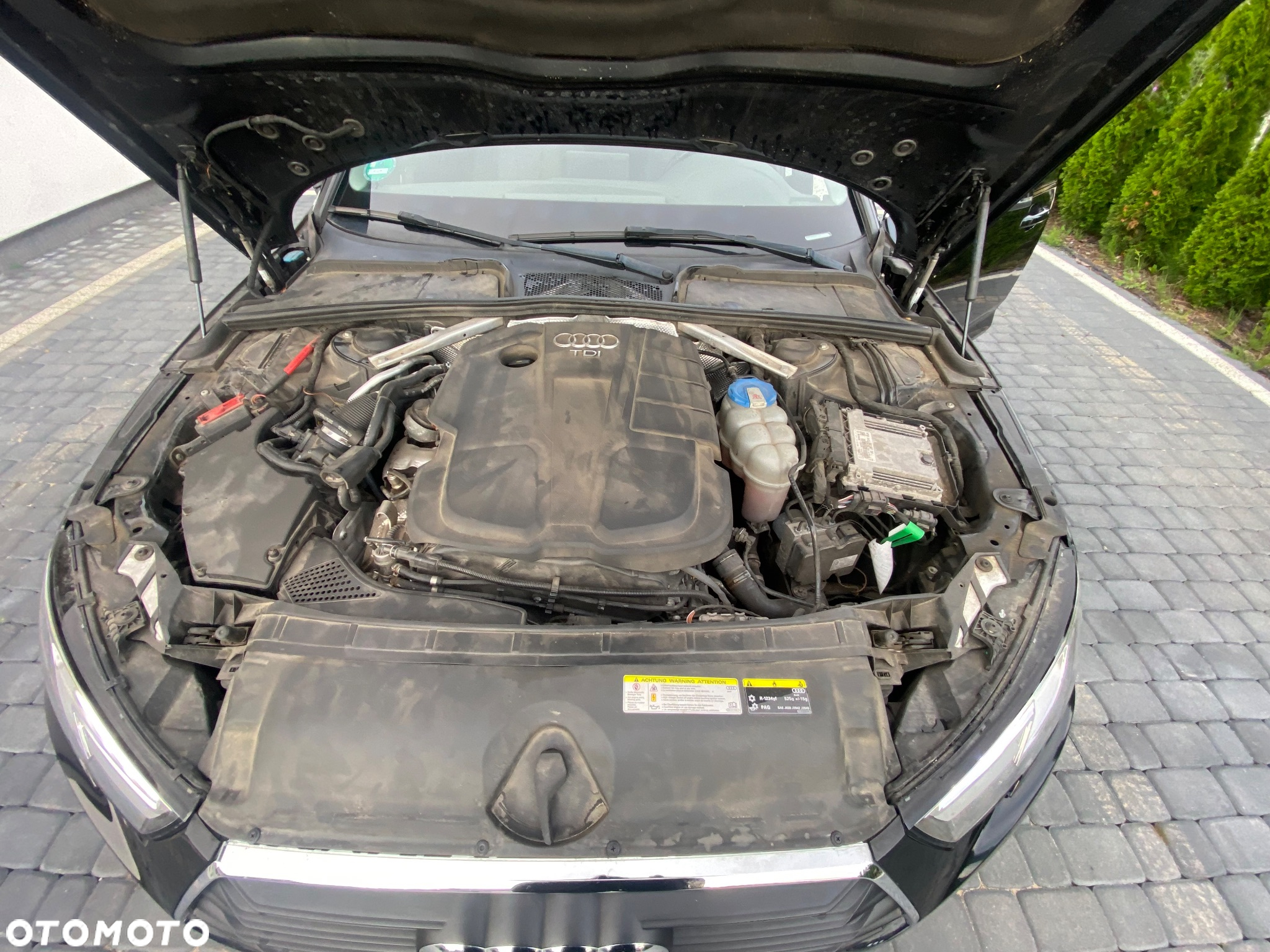 Audi A4 - 18