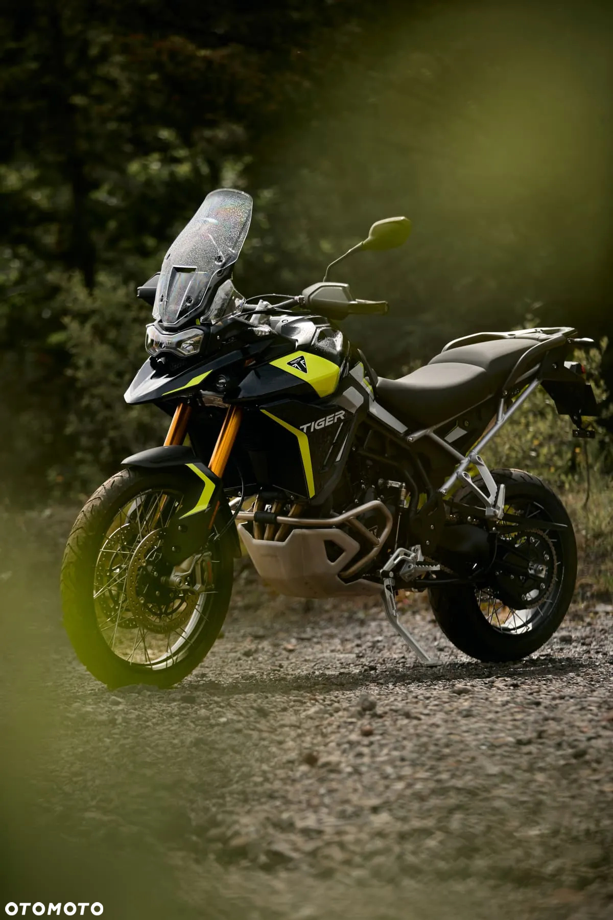 Triumph Tiger