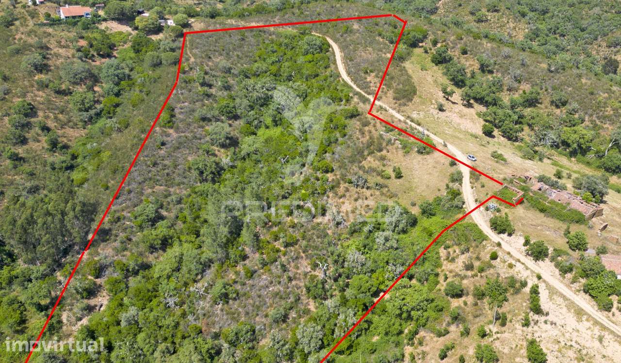 Quinta com 2,3000 ha e ruinas com 72 m2 a 11 Km de Odemira - Grande imagem: 5/22
